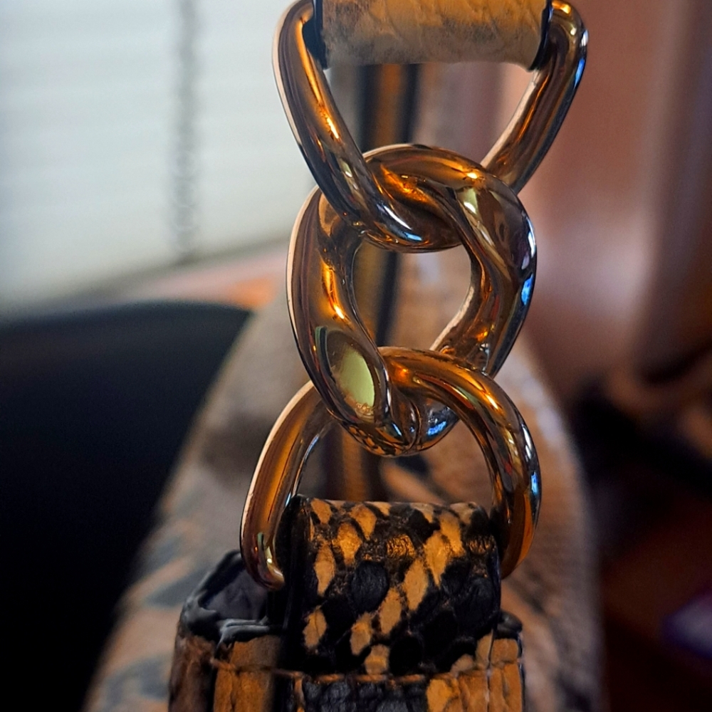 Jimmy Choo Authentic HoBo Bag